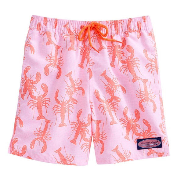Vineyard Vines | EUC - Boys Chappy Swim Trunks - Size XL - Lobster Toss print - Picture 1 of 11
